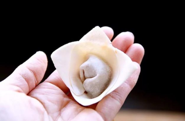 十种最漂亮的云吞包法,云吞包法视频12种包法