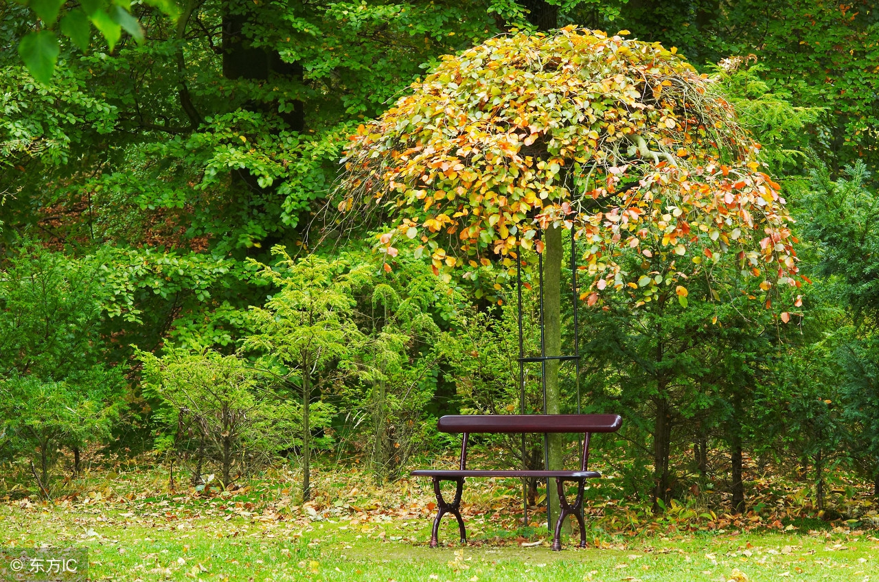 自从当母亲后越来越讨厌母亲,自从当了妈妈心态就变了