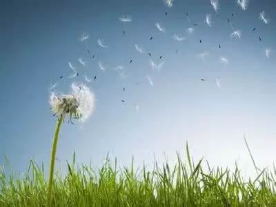 小学生作文必背100个好句子,小学作文人物描写10篇