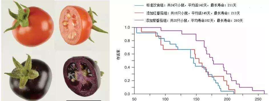 定制七夕MYB“专属礼物”——把特别的爱,送给特别的你