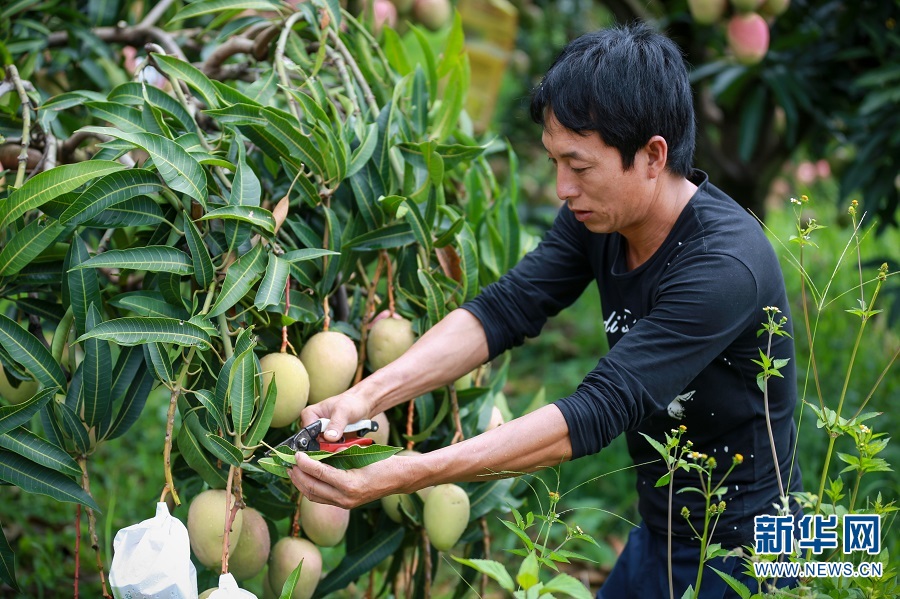 涓芥睙鍗庡潽閲戣姃,涓芥睙閲戣姃