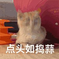 自从迷上*戏调**某宝客服后，我不会说话的毛病就被治好了