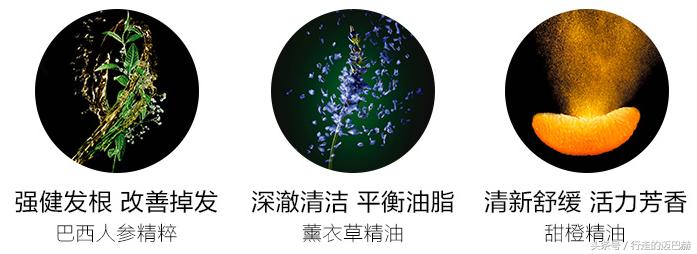 bioxsine进口防脱发洗发水,好用的防脱发洗发水推荐