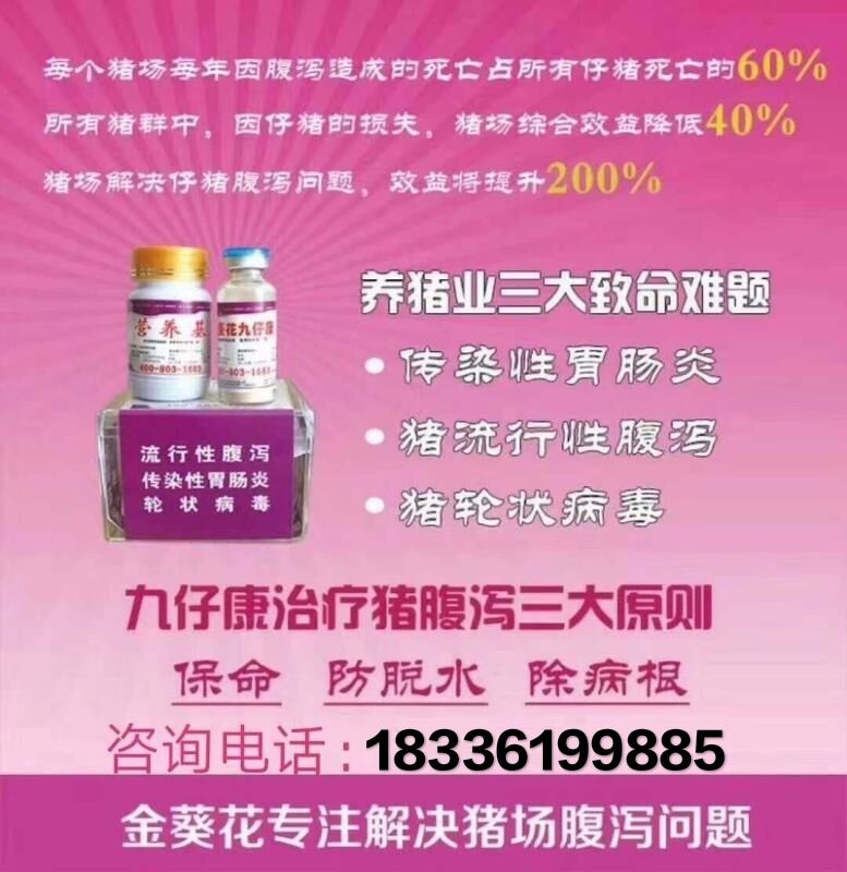 仔猪传染性胃肠炎的治疗方法,仔猪传染性腹泻