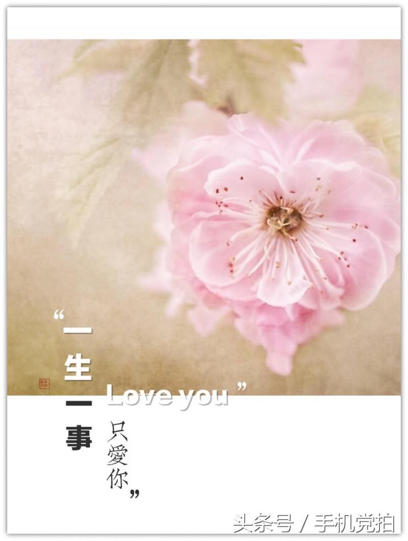 七夕节适合表白的数字浪漫,七夕送玫瑰花卡片写什么情话