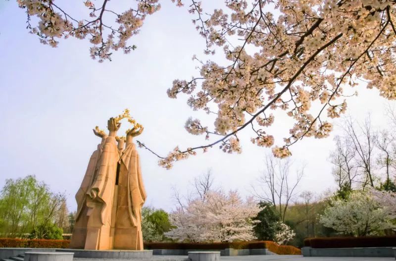 温州最近机票便宜的地方,哪里飞温州机票便宜