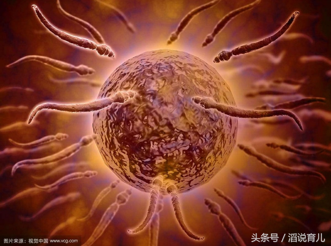 女人不停怀孕却不能生孩子,女人久久怀不上孩子多喝什么汤