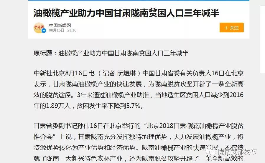 陇南武都橄榄产业发展,陇南油橄榄产业