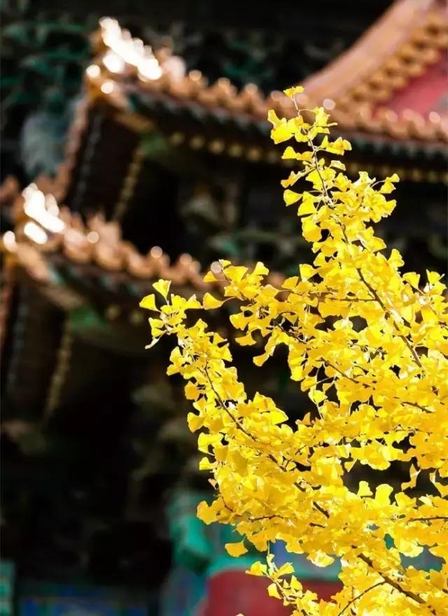 成语大全让你的语言表达更加地道,中华成语大全带注释