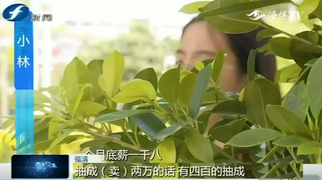 暑假工中途离职怎么办,暑假工中途不干了工资怎么办