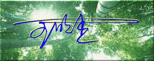 051期：目前已经制作了一千三百多个姓名大家找一下