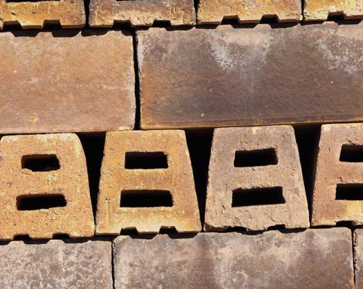 曝光6个适合农村人致富项目,农村特种种植致富项目有哪些