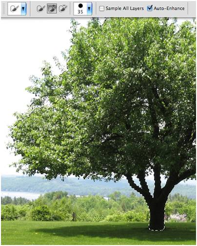 手机ai抠图与ps抠图,ps抠图后怎么放到另一张图片上