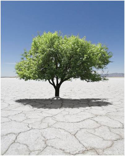 手机ai抠图与ps抠图,ps抠图后怎么放到另一张图片上