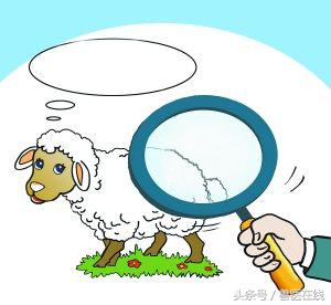 人畜共患病有哪几种病,人畜共患比较严重的疾病