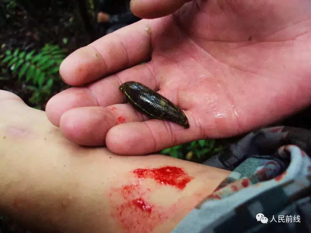 真实的墨脱军人,西藏边防哨所最艰苦的照片