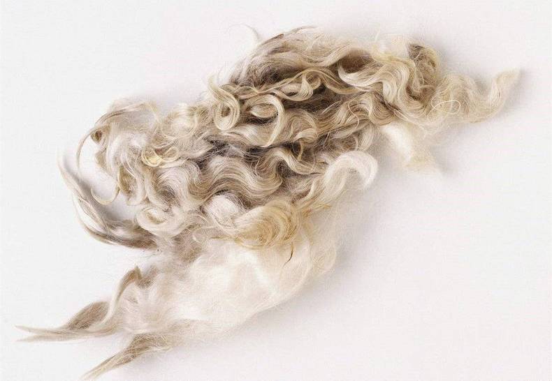 毛衣穿搭满大街？还得靠品质打败平庸