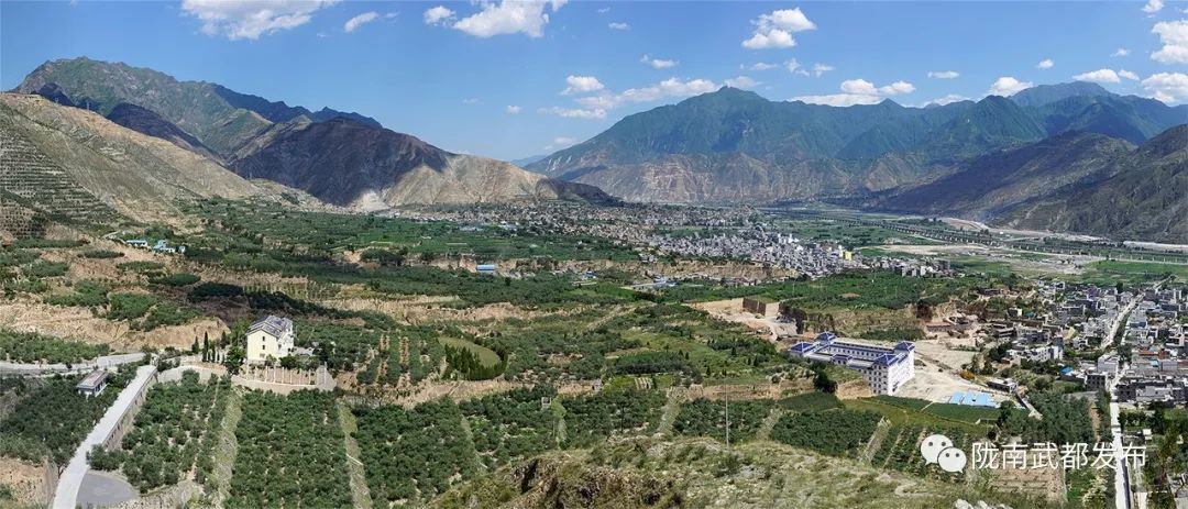 今生广种橄榄树，来世还做陇南人！