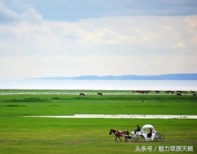 一座去了不想走的城市成都,一座去了还想去的城
