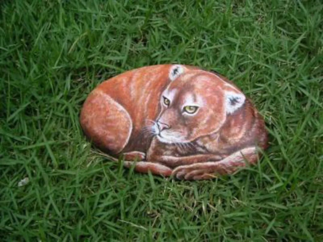 世界在听中国说,巴音郭楞经典故事