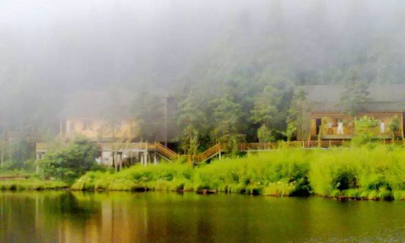 丽水遂昌市区,在丽水的遂昌