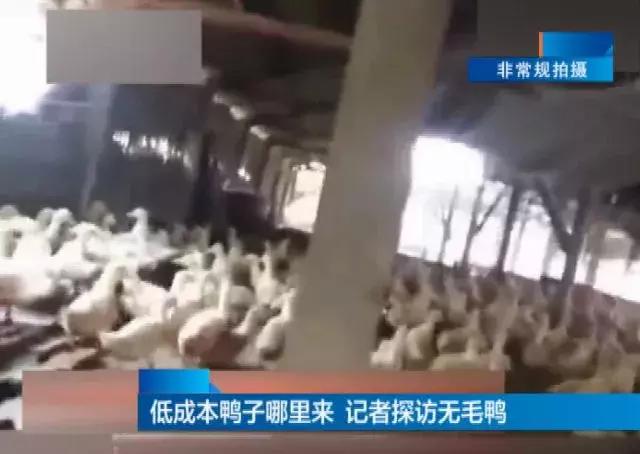 玉米烤肠的制作过程视频,街头淀粉烤肠的教程