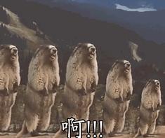 肩宽和肩窄哪个比较有福气,肩宽背影像男人