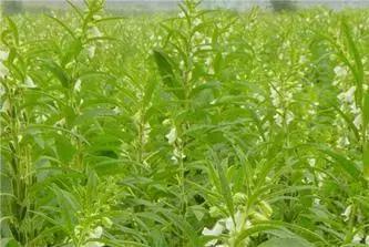 对不起我要去天津了,对不起我要去西安了