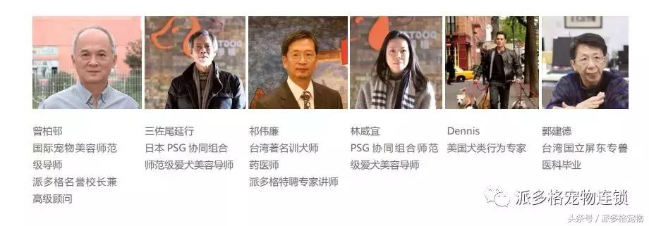 行业小白怎么培训,行业小白应该了解的问题