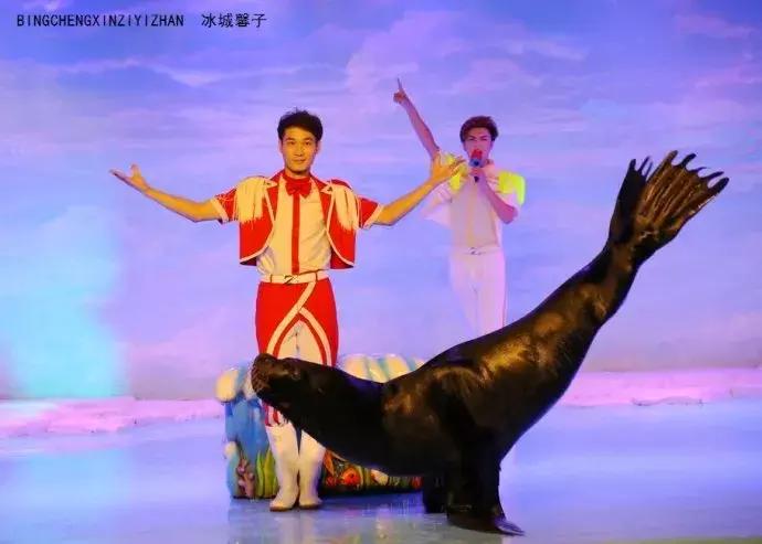 哈尔滨极地公园极地馆时间,哈尔滨极地公园和极地馆区别