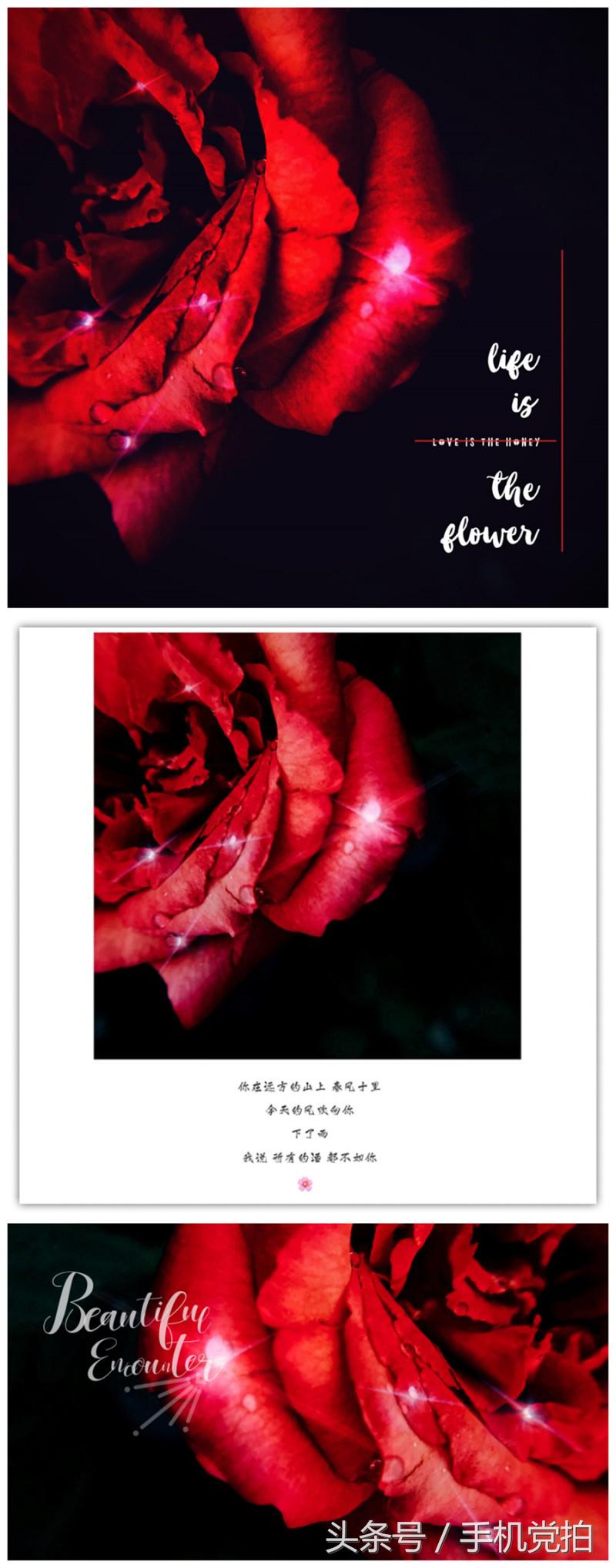 给图片上加印章,给图片加个好看文字