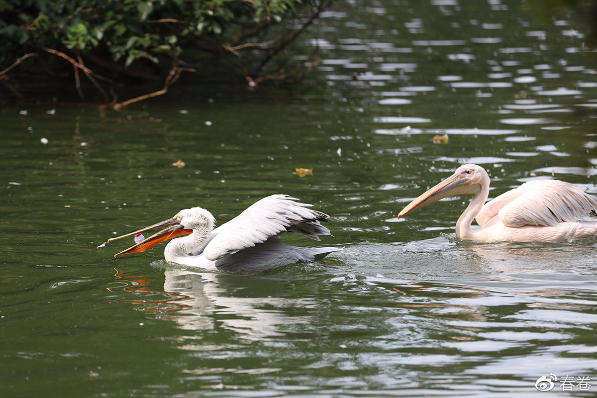佳能人像风景原图直出参数,佳能复古风人像