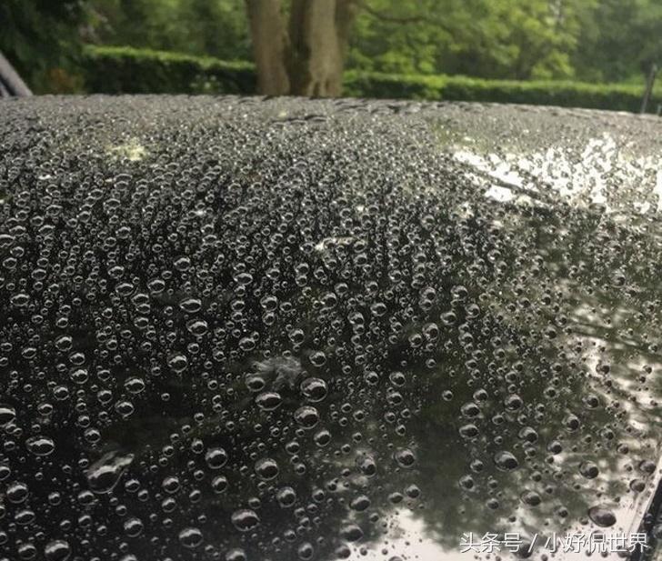 强迫症看了很舒服的100张图,密集强迫症照片