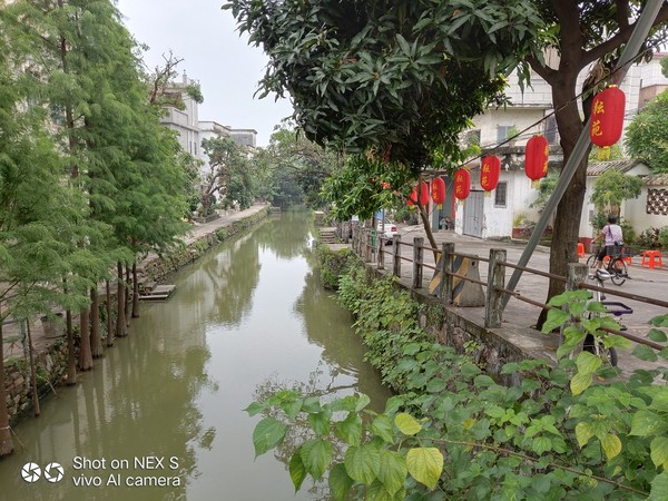 顺德逢简水乡出名小店,顺德逢简水乡属于哪个镇