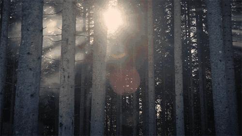 祝你身体健康美满幸福,祝你身体健康天天开心