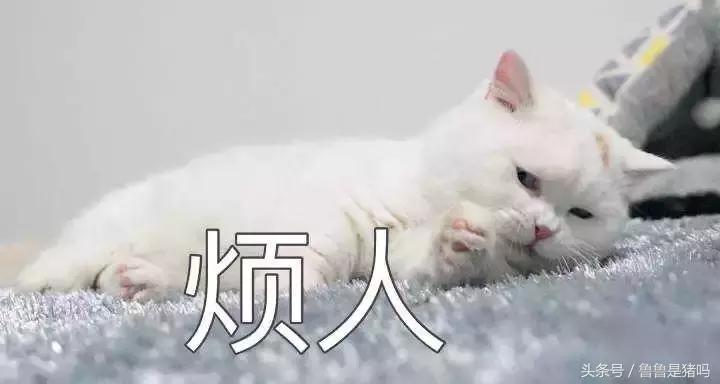 自从迷上*戏调**某宝客服后，我不会说话的毛病就被治好了