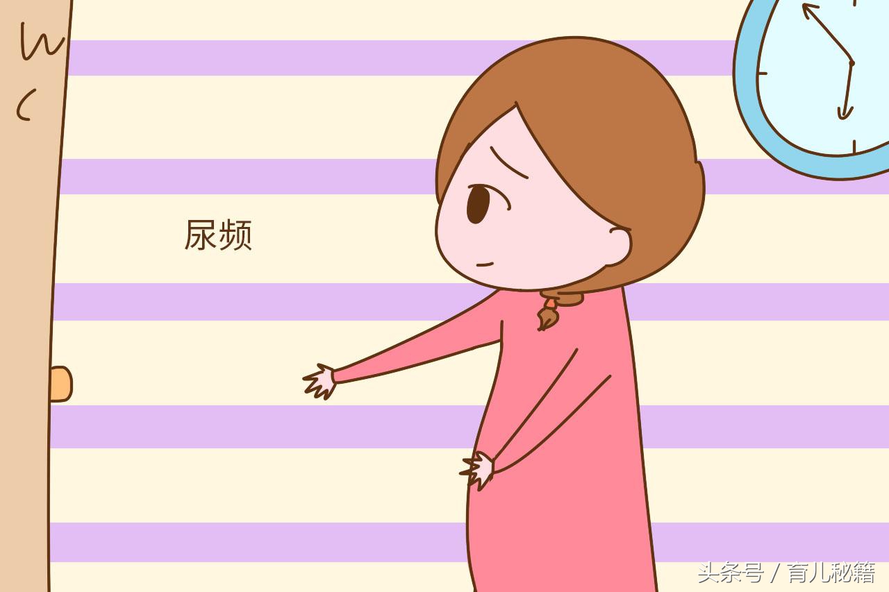 怀孕之后很多孕妈都会经历问题,孕妇怀孕后都会经历哪些尴尬