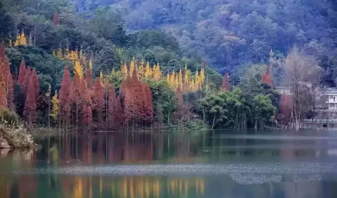 成都1.5h刹拢的山水宝地，集合n种清凉耍法，还可当天打来回！