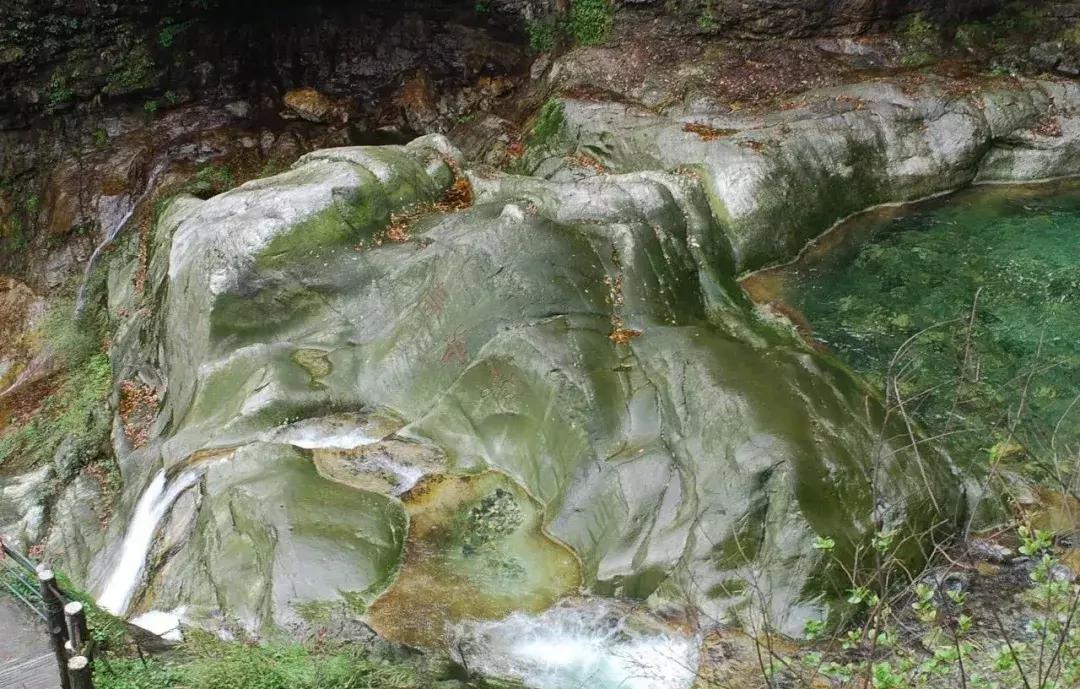 成都1.5h刹拢的山水宝地，集合n种清凉耍法，还可当天打来回！