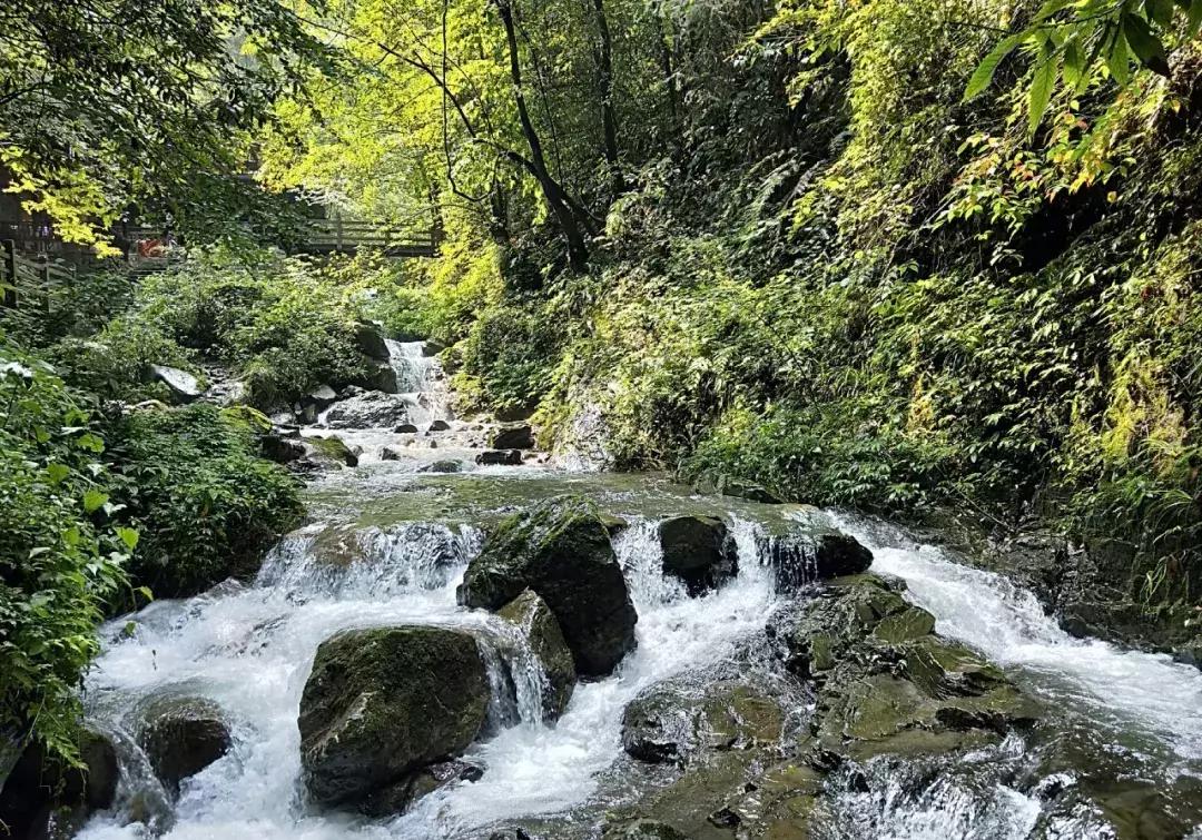 成都1.5h刹拢的山水宝地，集合n种清凉耍法，还可当天打来回！