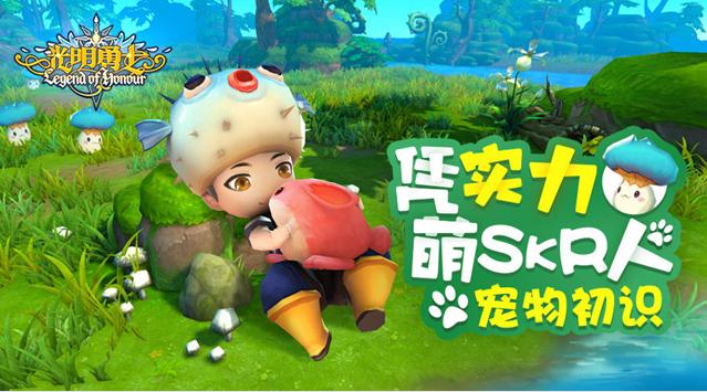 光明勇士所有宠物大全,光明勇士宠物最高多少星