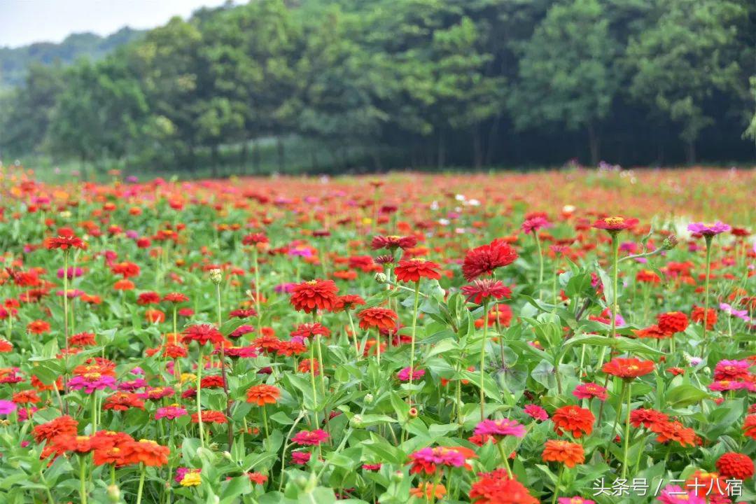 陈柏霖纳米比亚自驾游视频,陈柏霖在沙漠开车