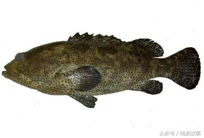 国庆去南澳岛旅游攻略,南澳岛赶海出海游玩攻略