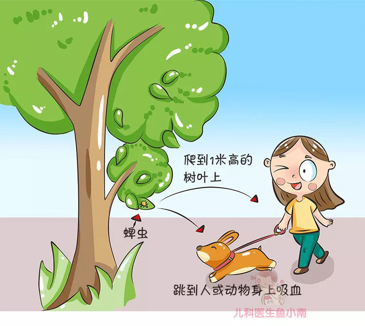 蜱虫咬在孩子头上怎么处理,宝宝如何预防蜱虫叮咬