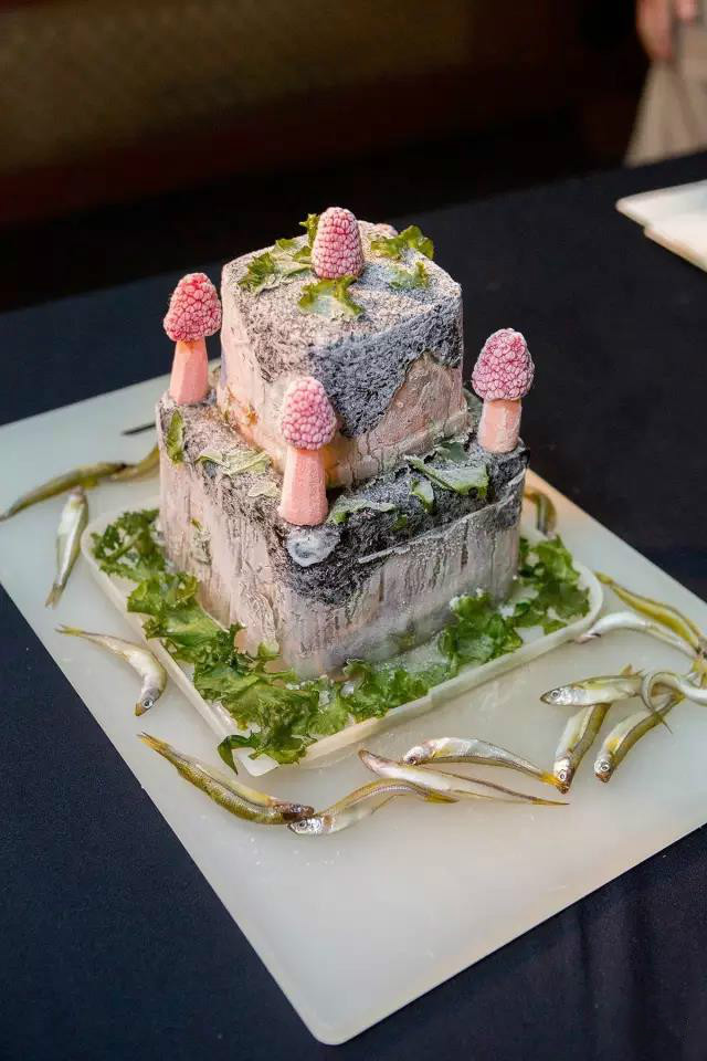 见到这只鱼大伙都要喊它爷爷,结局竟被安乐死,人们却表示赞同