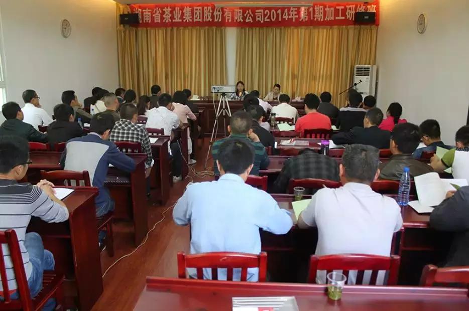 湖南千亿茶产业,湖南茶业产业发展现状