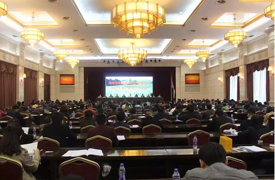 湖南千亿茶产业,湖南茶业产业发展现状