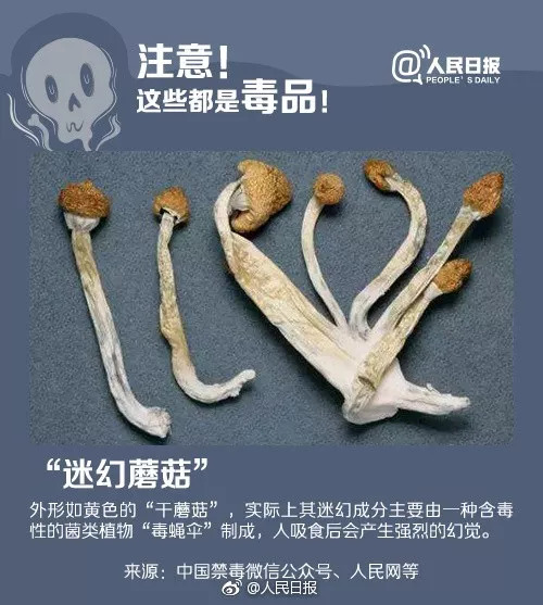 禁毒有特效药是正确还是错误的,禁毒百科新型毒品有哪些