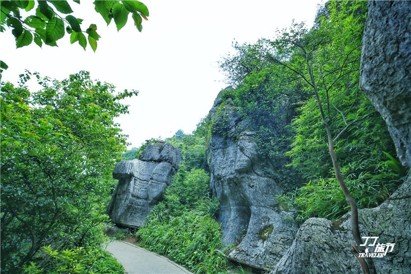 重庆神奇的地理位置,重庆成为世界第一城市