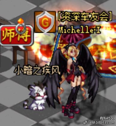 dnf宠物是什么动物,dnf宠物外形是龙的叫什么名字